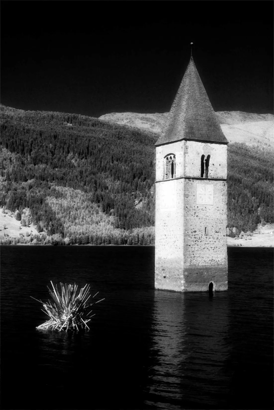 Foto Autore Massimo Zulian - Bassano Fotografia