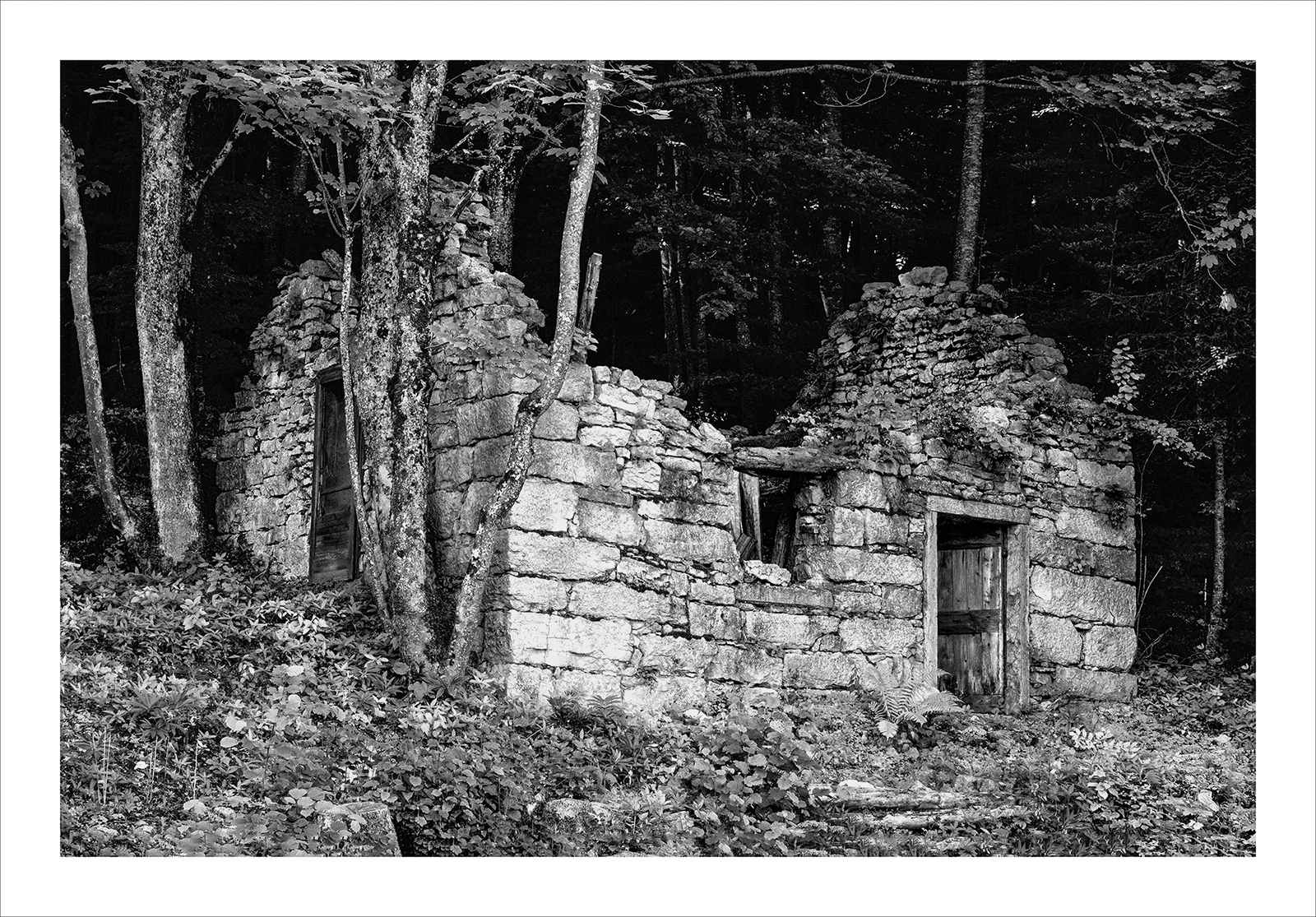 Foto Autore Maria Novello - Bassano Fotografia Foto Autore Maria Novello - Bassano Fotografia