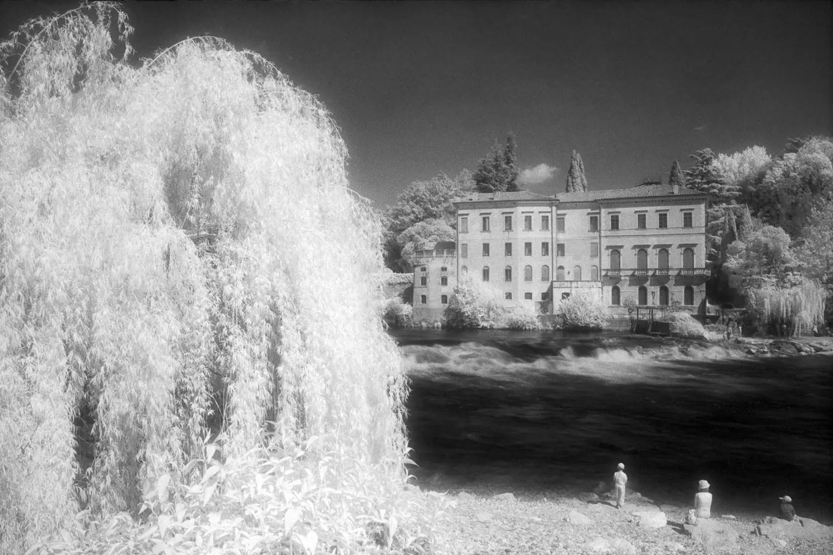 Foto Autore Massimo Zulian - Bassano Fotografia