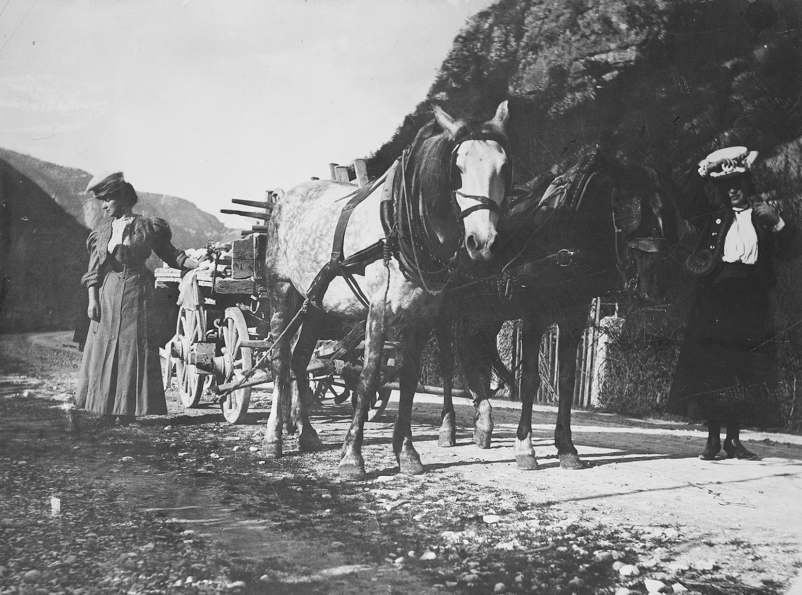 Foto Autore Circolo Fotogafico El Paveion - Bassano Fotografia