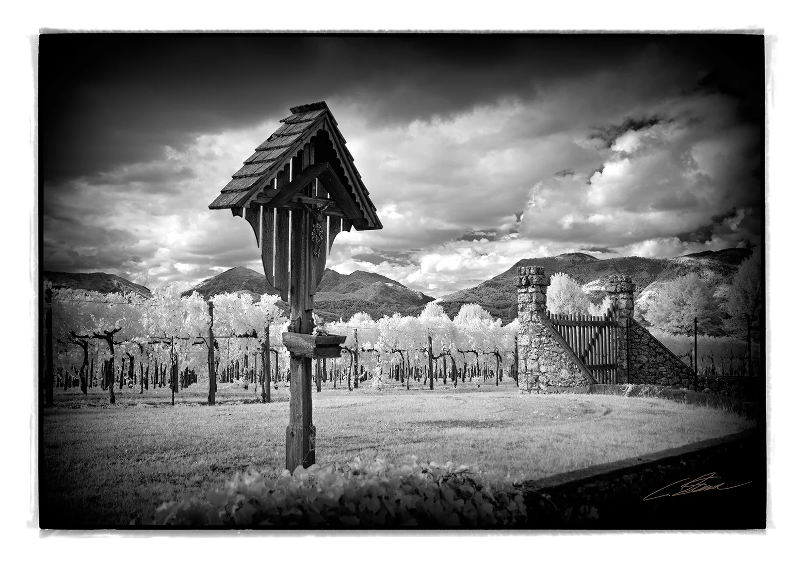 Foto Autore Claudio Schincariol - Bassano Fotografia Foto Autore Claudio Schincariol - Bassano Fotografia