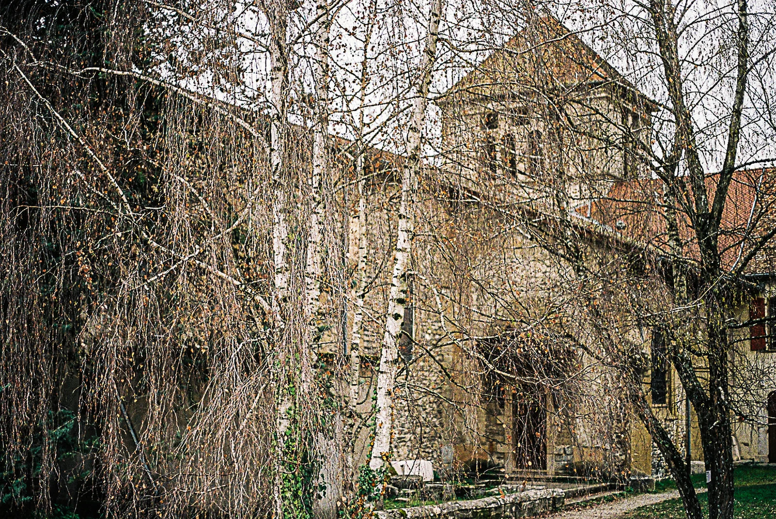 Foto Autore Città Gemelle - Bassano Fotografia