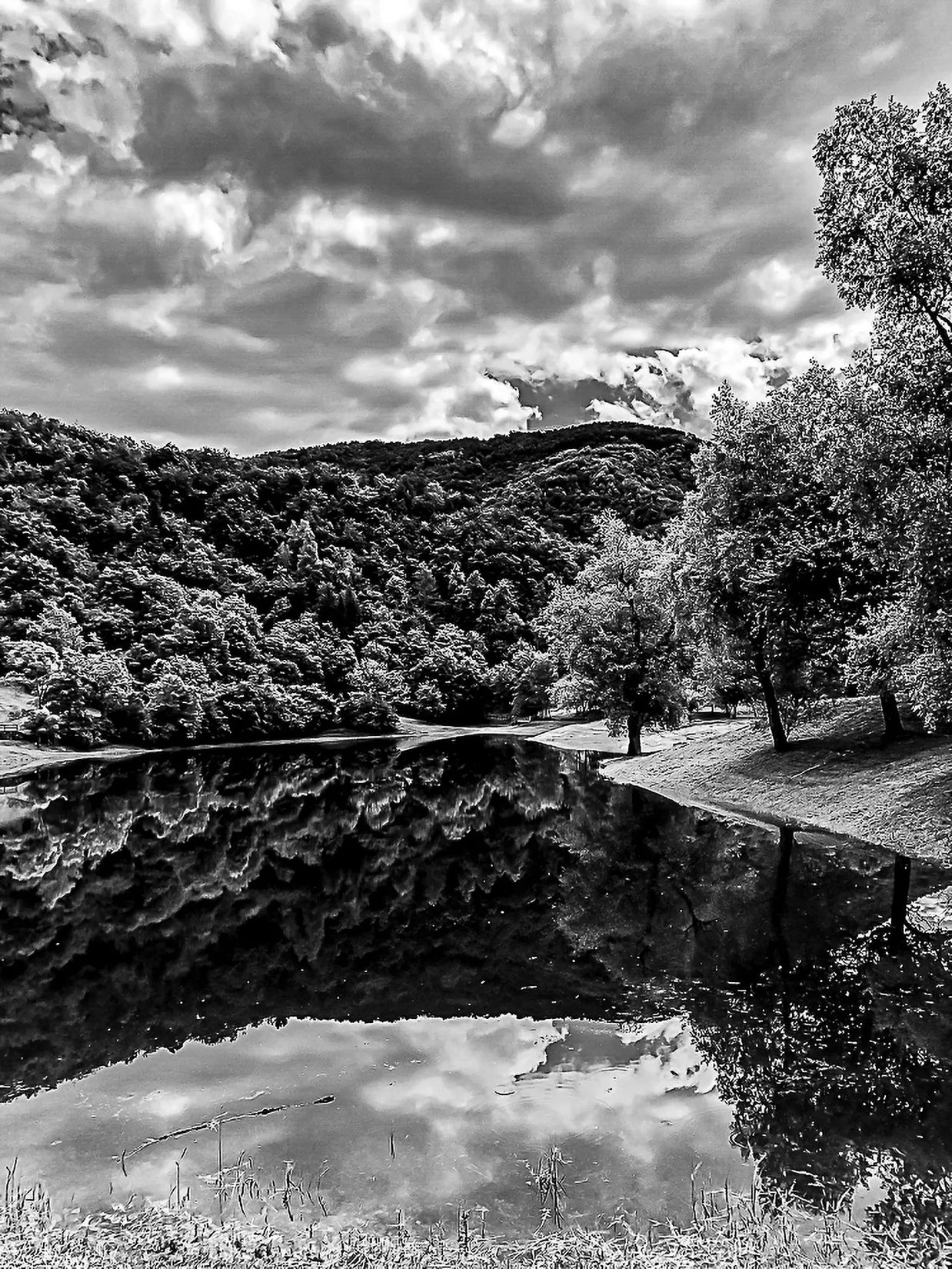 Foto Autore Città Gemelle - Bassano Fotografia