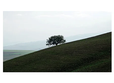 Catalogo Letizia Bressan Fuori Palazzo 2023 Bassano Del Grappa - Bassano Fotografia